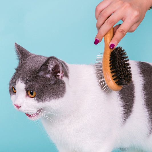 Brosse Double Face - Animaé