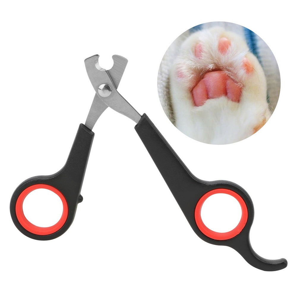 Coupe-Griffes de Précision - Animaé