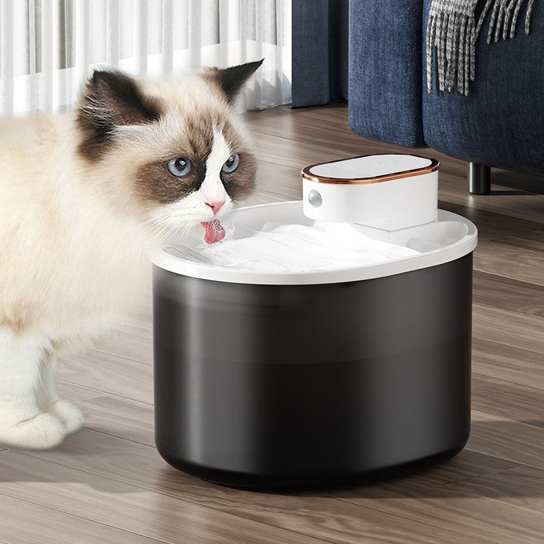 Fontaine à Eau Intelligente - Animaé