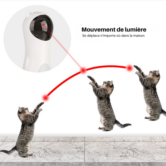 Jouet Laser Automatique - Animaé