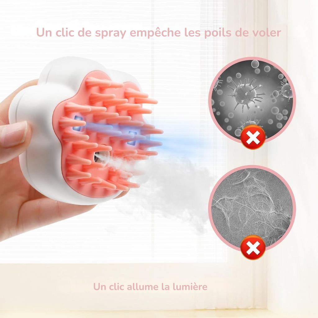 Brosse Vapeur 4-en-1 - Animaé