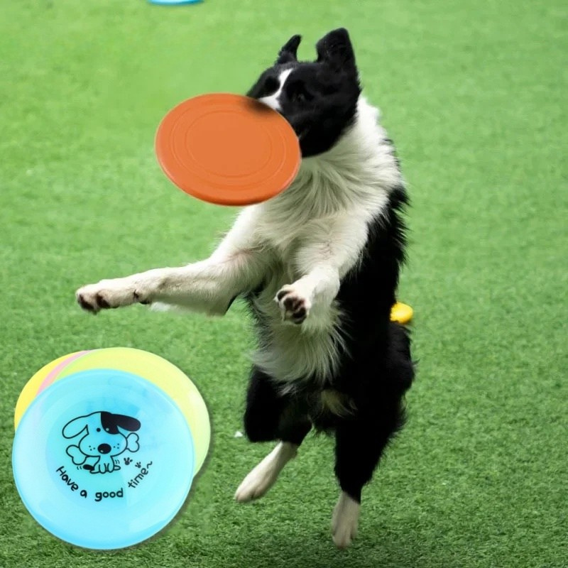 Frisbee en Silicone - Animaé