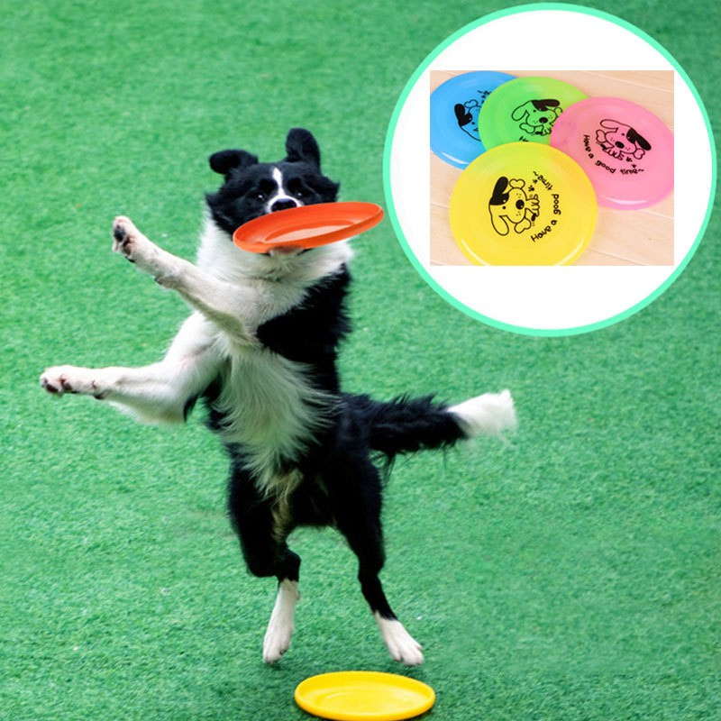 Frisbee en Silicone - Animaé