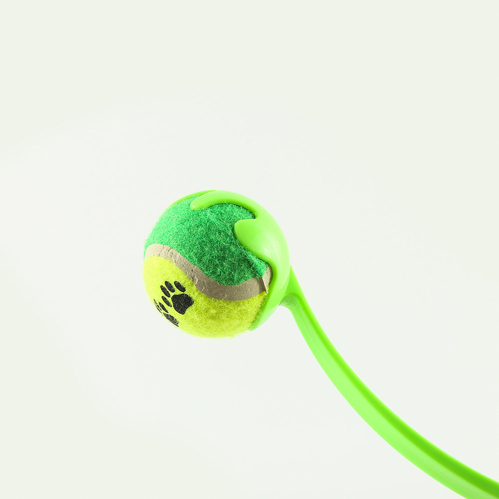 Lance-Balle Interactif - Animaé